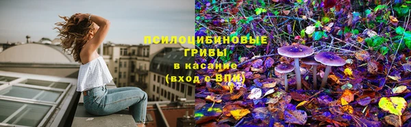 сатива Гусев