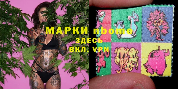 сатива Гусев